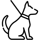 icon-png